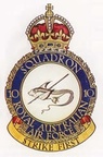 No  10 Squadron RAAF crest