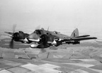 Beaufighter TF Mark X, NE343,