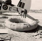 Hudson Mk.IIIA FH358 E of 459 Sqn RAAF 