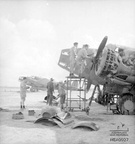 Western Desert. c. 1942. Fitters of the maintenance section of No. 459 (Naval Co-operation) Squadron RAAF, work on a Squadron Lockheed Hudson aircraft on an airfield.