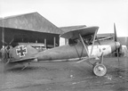 Albatross D.Va D5390/17