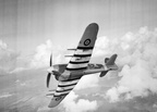 Highlight for Album: Hawker Typhoon