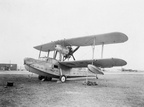 Supermarine Walrus L2312