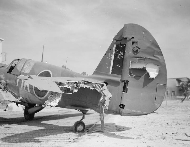 Kittyhawk Mark IV, FX529
                                  450 Squadron, Cervia, Italy