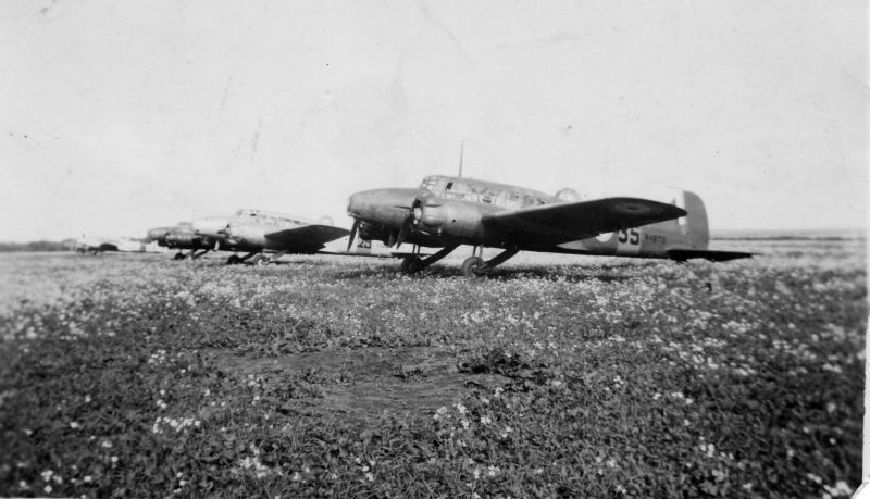 Anson N4879