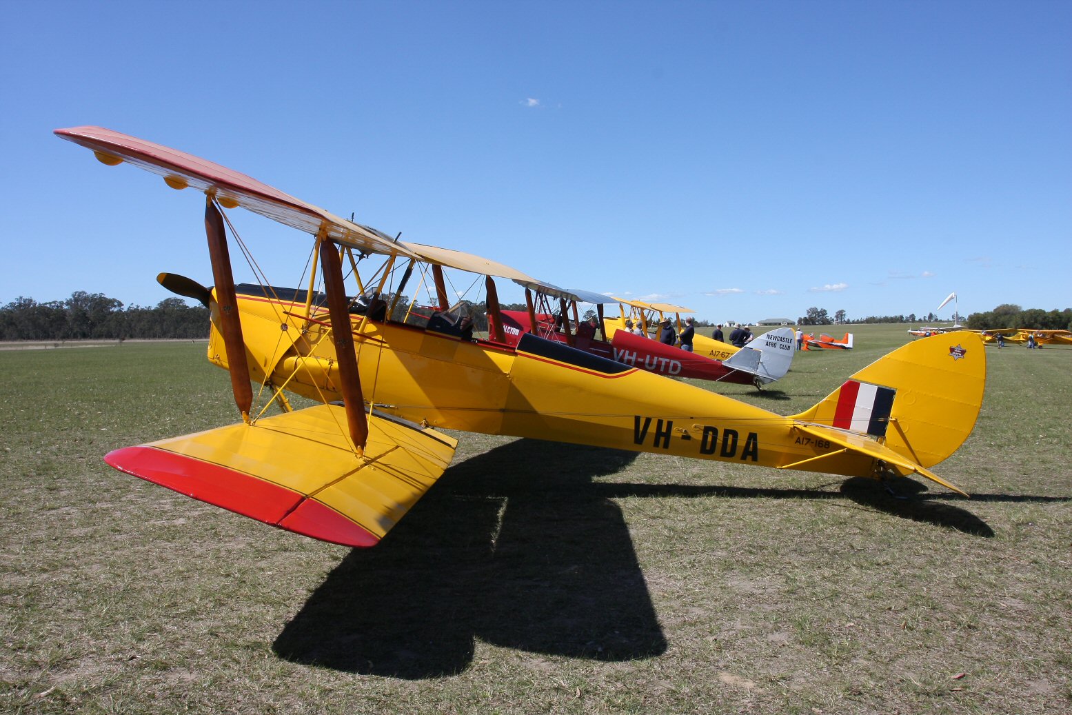 Highlight for Album: Tiger Moth
                                A17-168