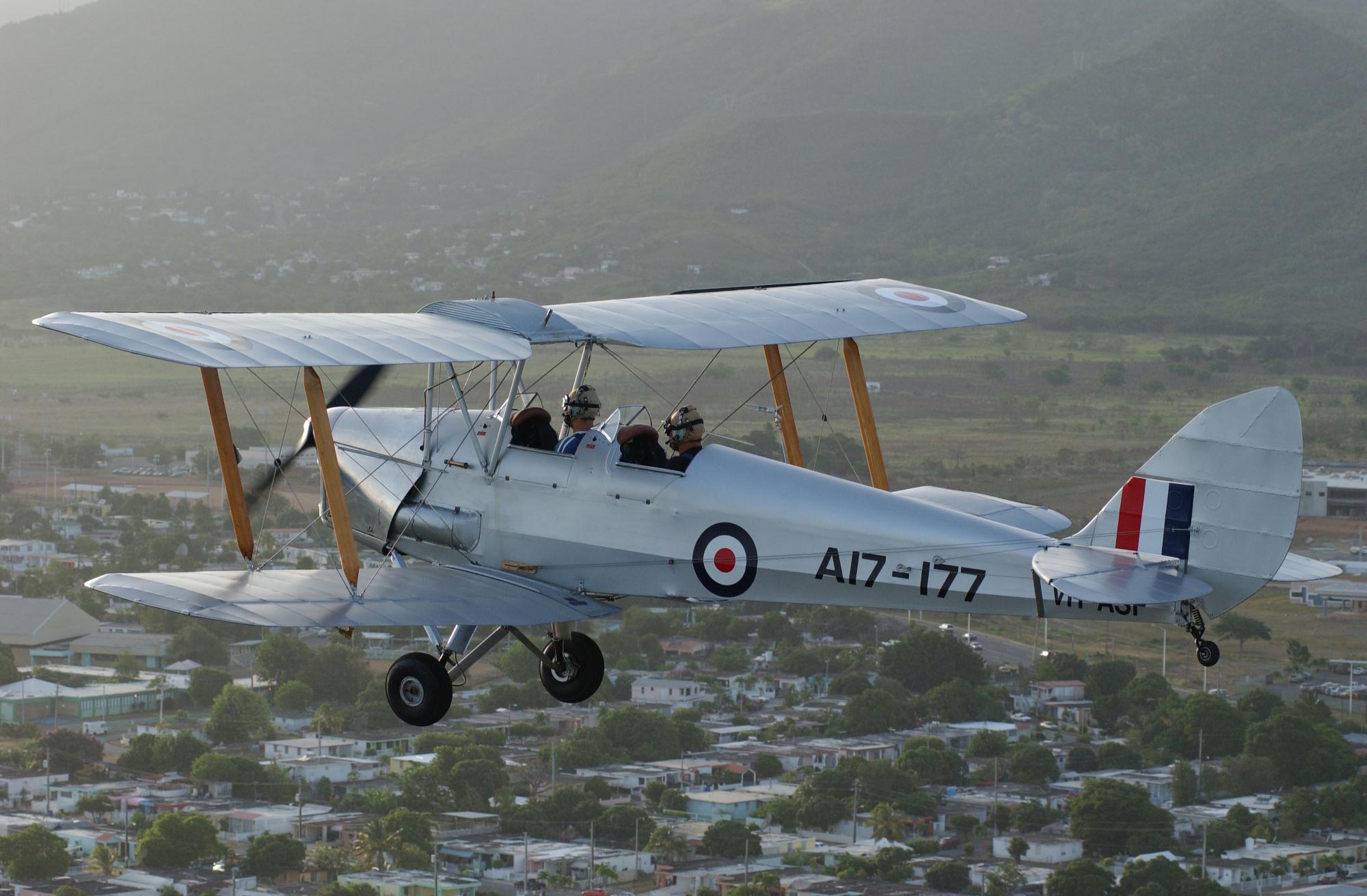 Highlight for Album: Tiger
                              Moth A17-177