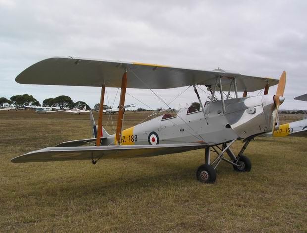 Highlight for Album: Tiger Moth
                                A17-188