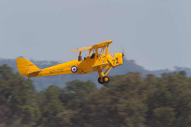 Highlight for Album: Tiger Moth
                              A17-272