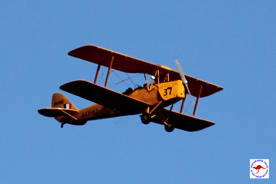 Highlight for Album: Tiger Moth
                            A17-37