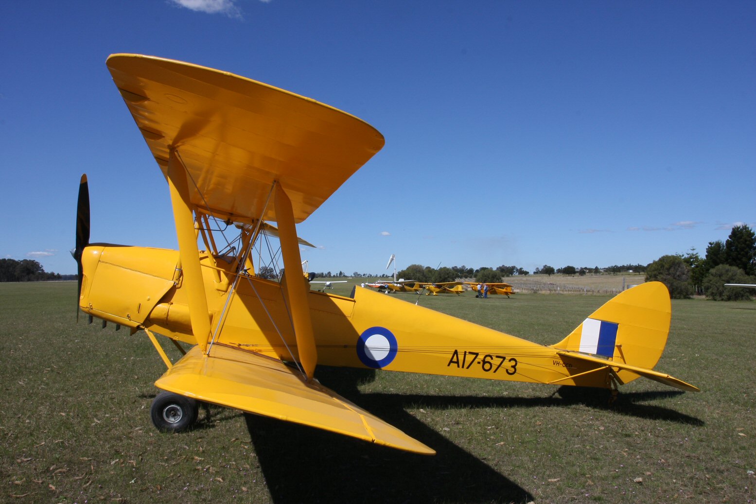 Highlight for
                                  Album: DH82A Tiger Moth A17-673