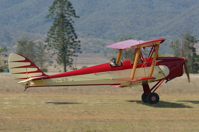 Highlight for Album: Tiger Moth
                                A17-97