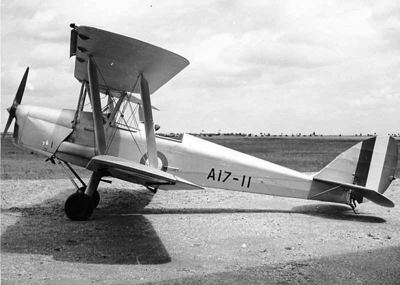Highlight for Album: Tiger Moth                                A17-11