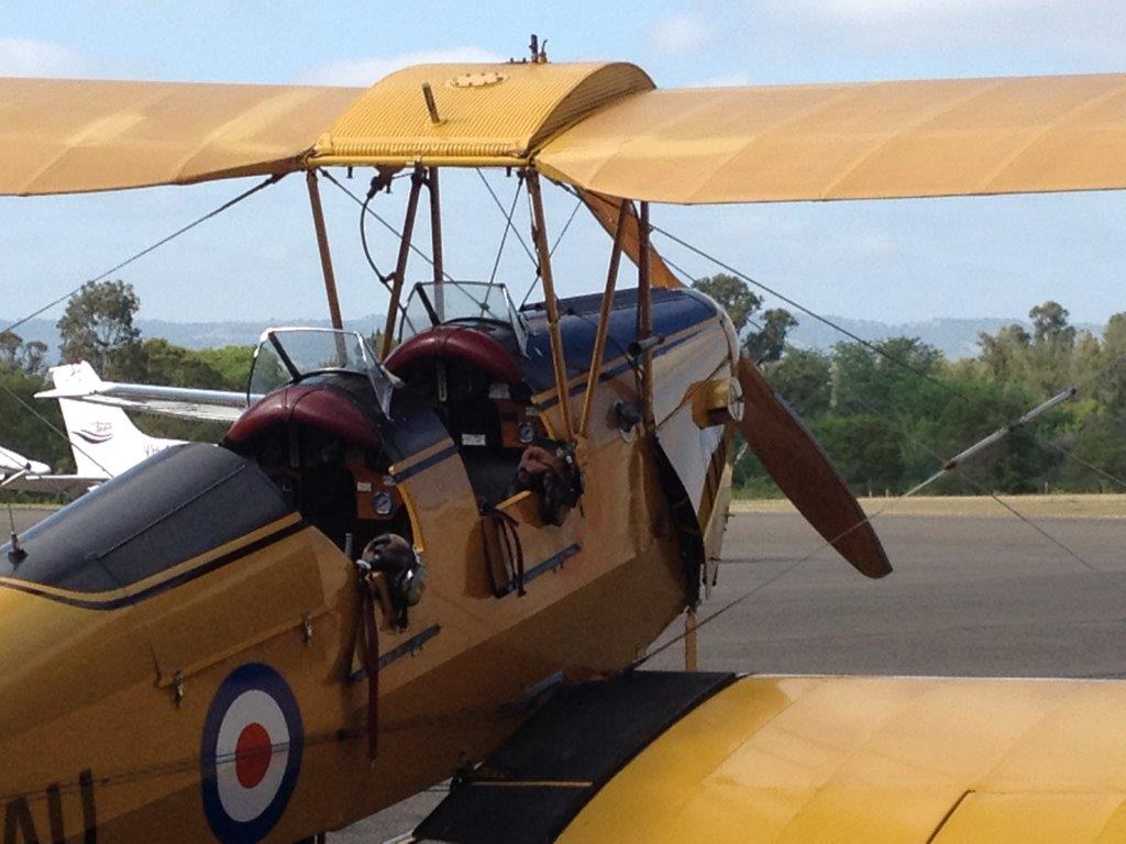 Highlight for Album: Tiger Moth                              A17-204