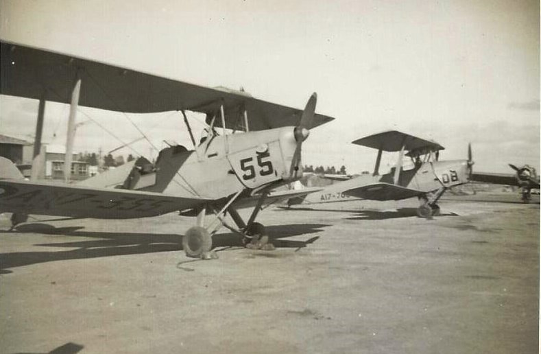 Tiger Moth
                                    A17-355