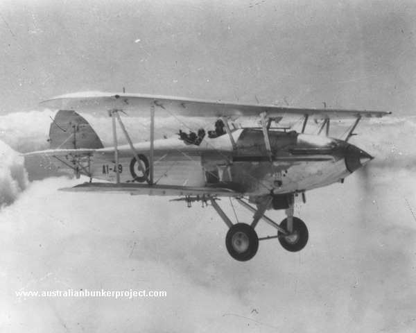 Highlight for Album: Hawker Demon                                A1-49