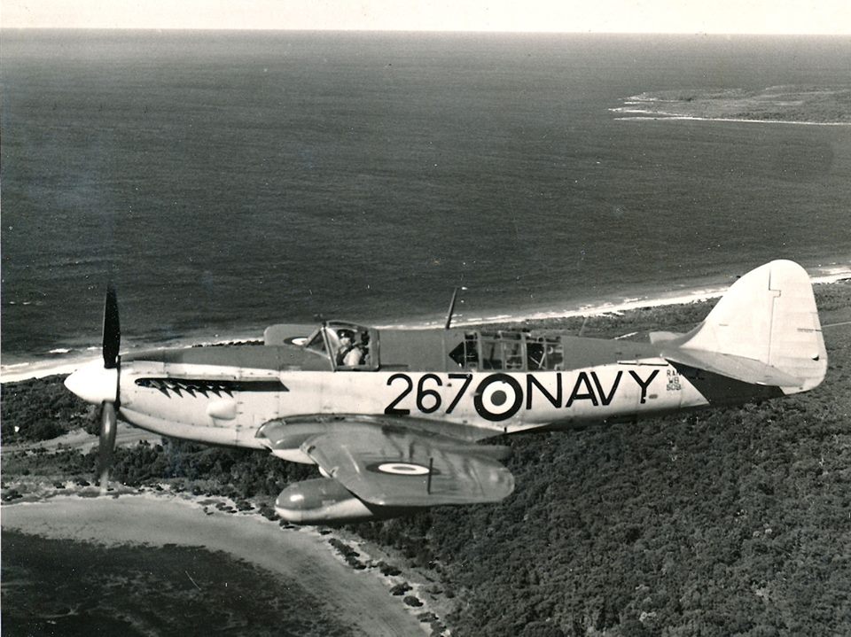 Highlight for Album: Firefly WB509