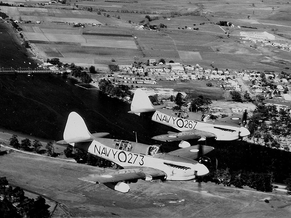 Highlight for Album: Firefly WB517