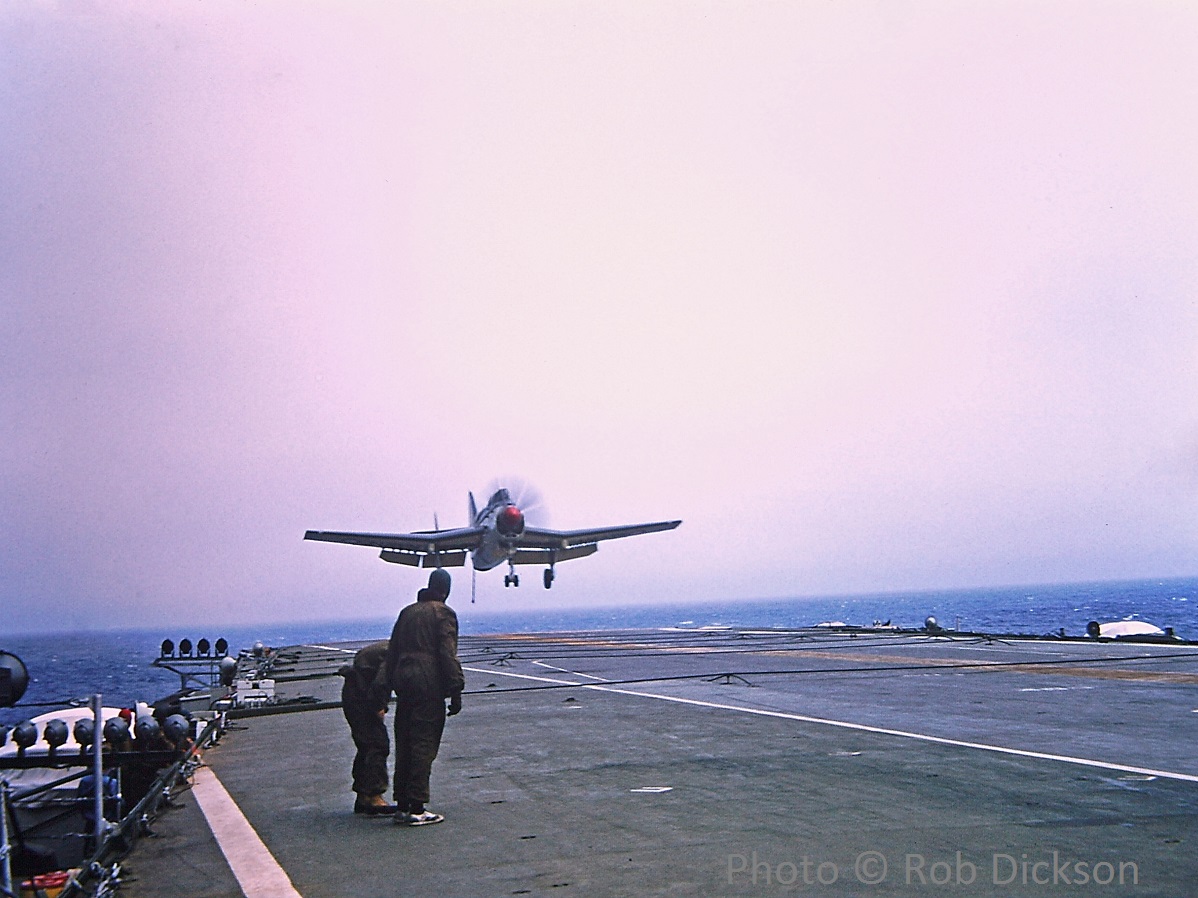 Fairey Gannet approaching to                'Land-on', in Tasman Sea near New Zealand February 1957