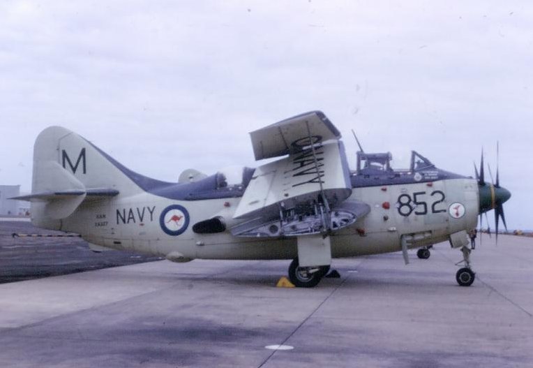 Highlight for Album: Gannet XA327