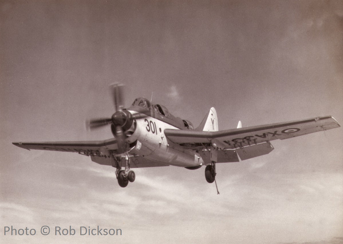 Highlight for Album: Gannet XA331