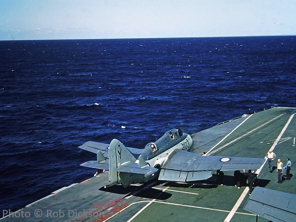 Highlight for Album: Gannet XA389