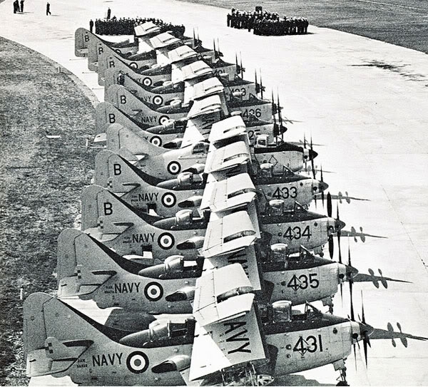 RAN Gannets at RNAS Culdrose. Note early HMAS
                Melbourne "B" tailcode