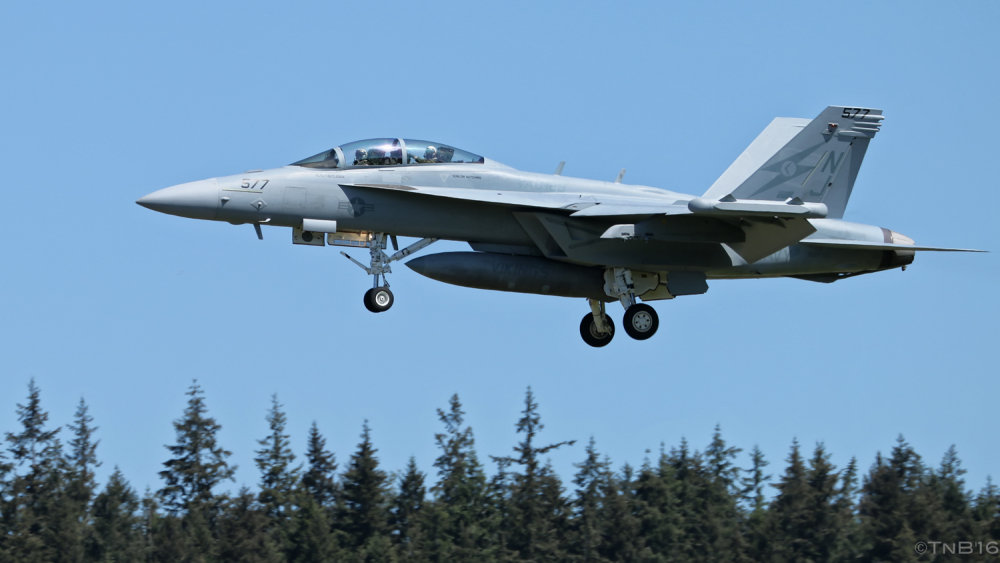 Highlight for Album: United States                                Navy EA-18G Bu.168770