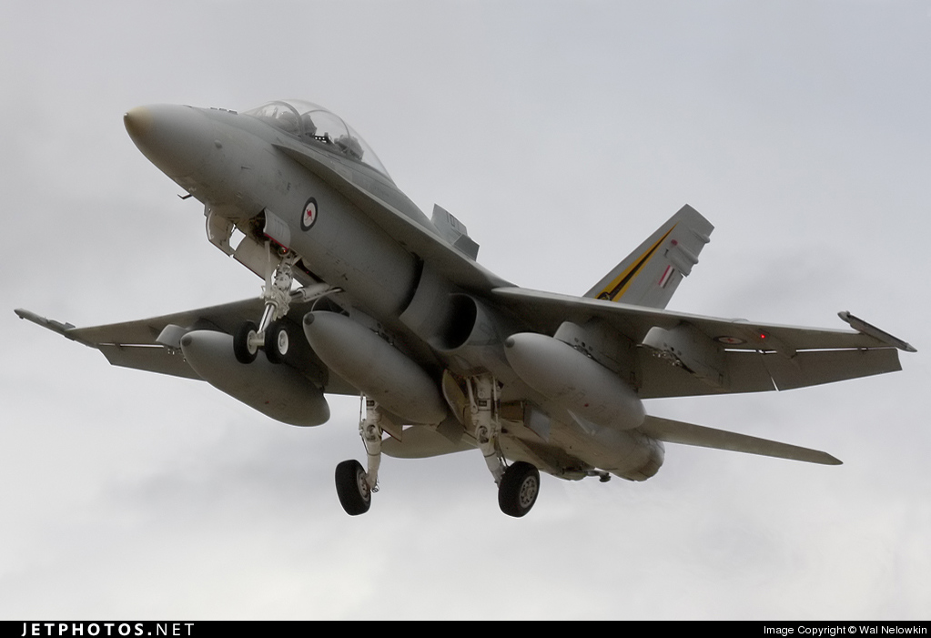 Highlight for Album: Hornet                            A21-107