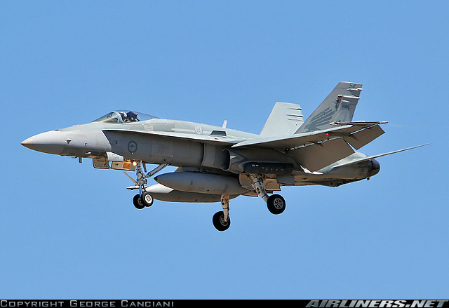 Highlight for Album: Hornet                            A21-54