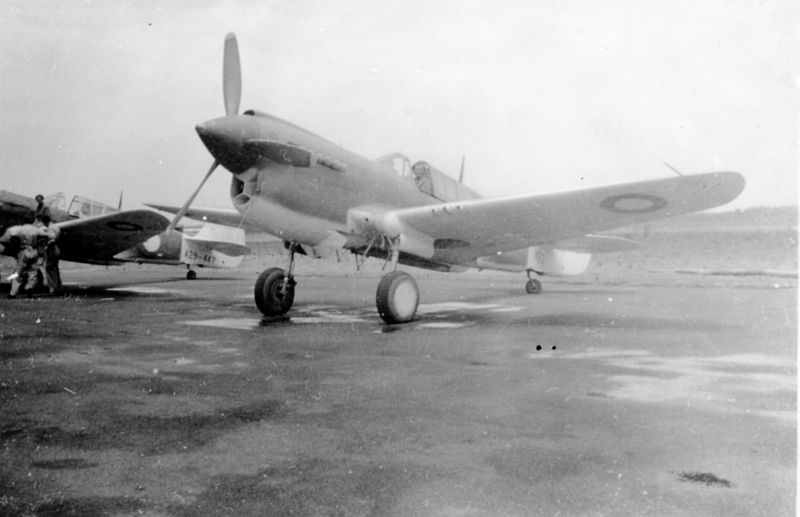 Highlight for Album: Kittyhawk                            A29-447