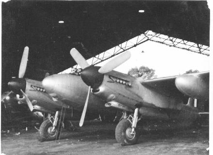 Highlight for Album: Mosquito A52-312