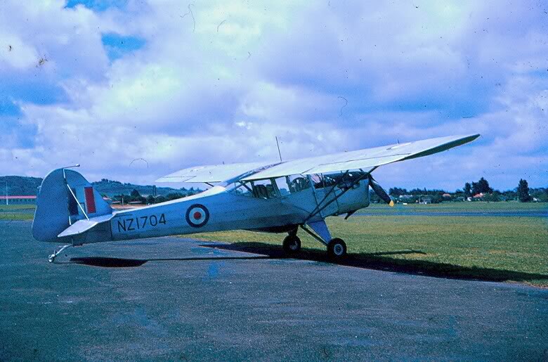 Auster  
NZ1704