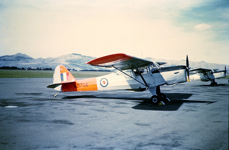 Auster  
NZ1704