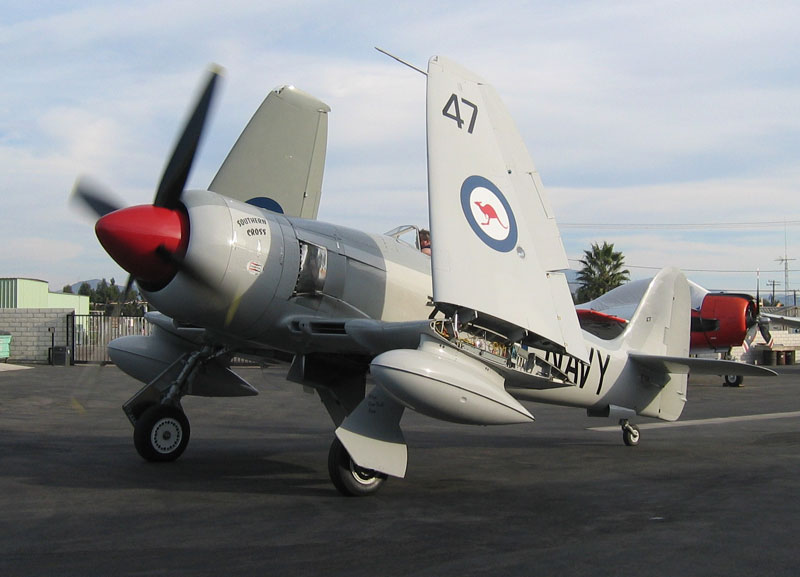 Highlight for Album:
                                  Sea Fury N71GB