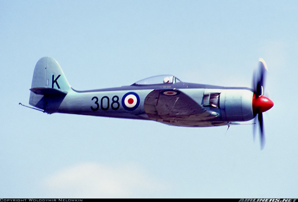 Highlight for Album: Sea Fury
                                    VH-HFG