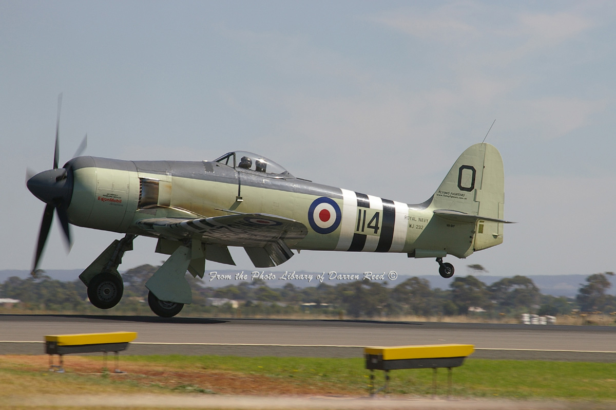 Highlight for Album:
                                  Sea Fury VH-SHF