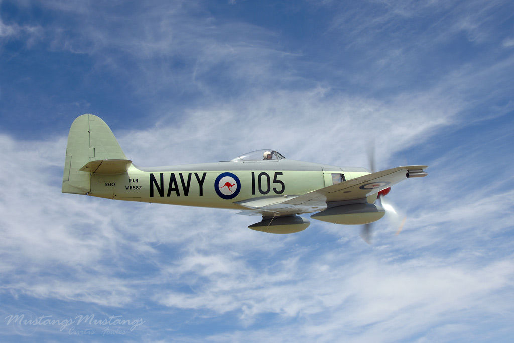 Highlight for Album: Sea Fury
                                  WH587 (105)