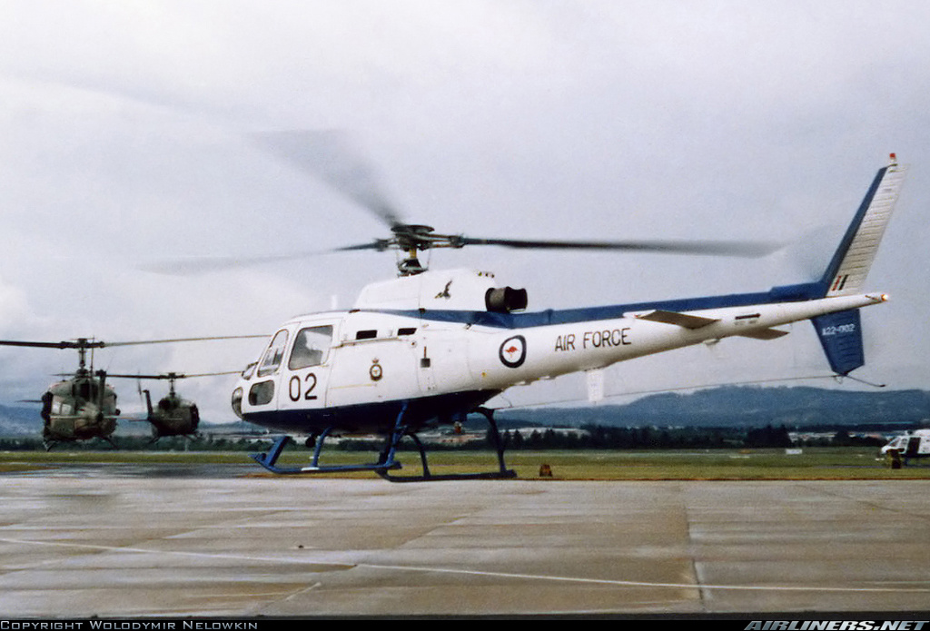 Highlight for Album: Squirrel A22-002