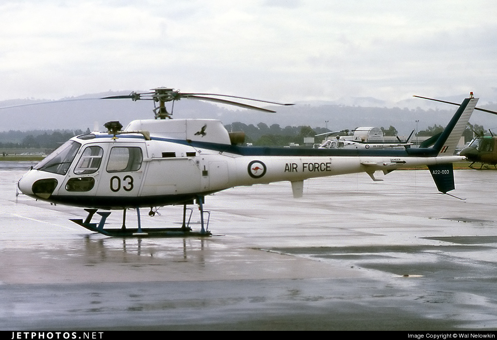 Highlight for Album: Squirrel A22-003