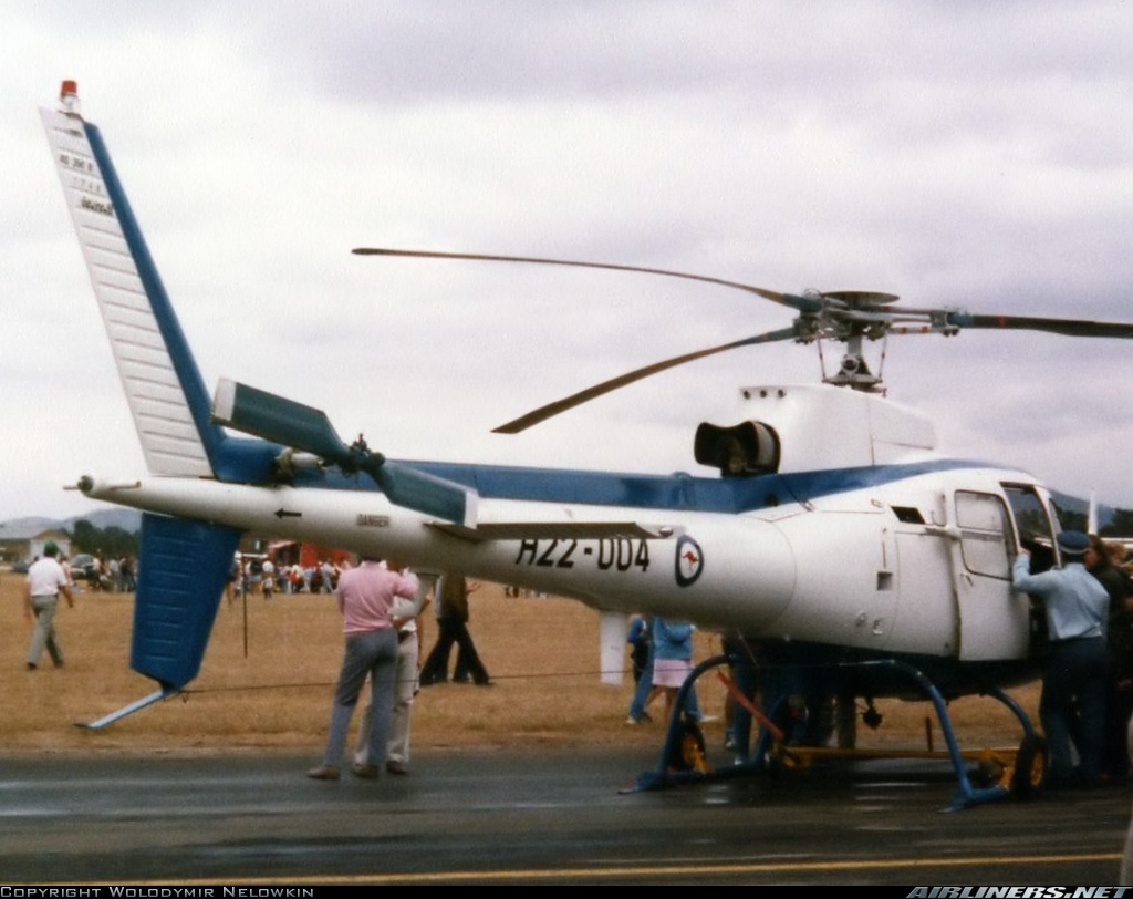 Highlight for Album: Squirrel A22-004