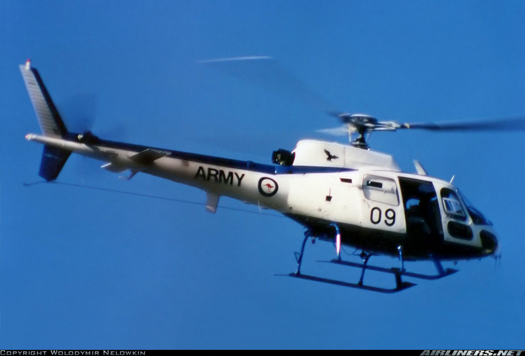 Highlight for Album: Squirrel A22-009