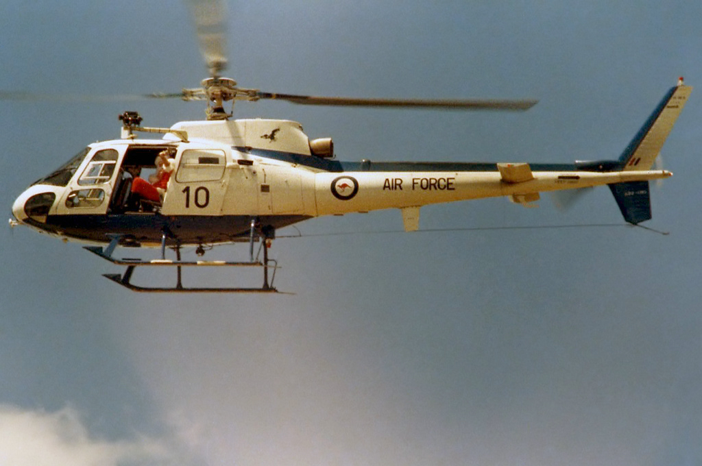 Highlight for Album: Squirrel A22-010