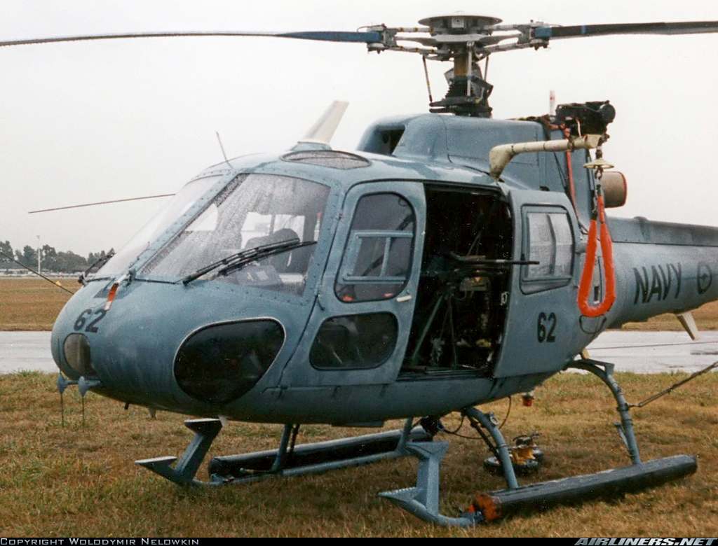 Highlight for Album: Squirrel N22-015 (862)