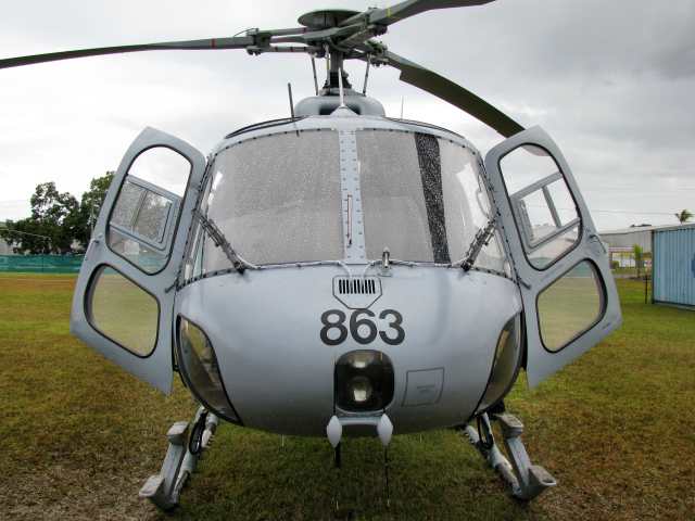 Highlight for Album: Squirrel N22-016 (863)