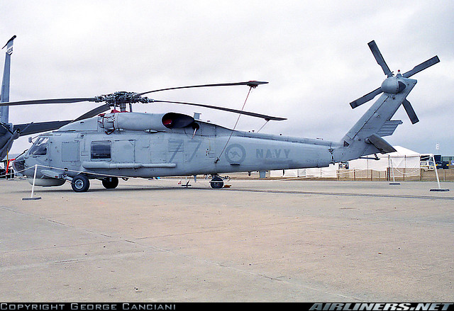 Highlight for Album: Seahawk
                              N24-008