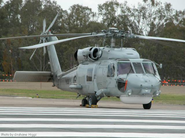 Highlight for Album: Seahawk
                              N24-010