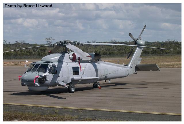 Highlight for Album: Seahawk                              N24-011