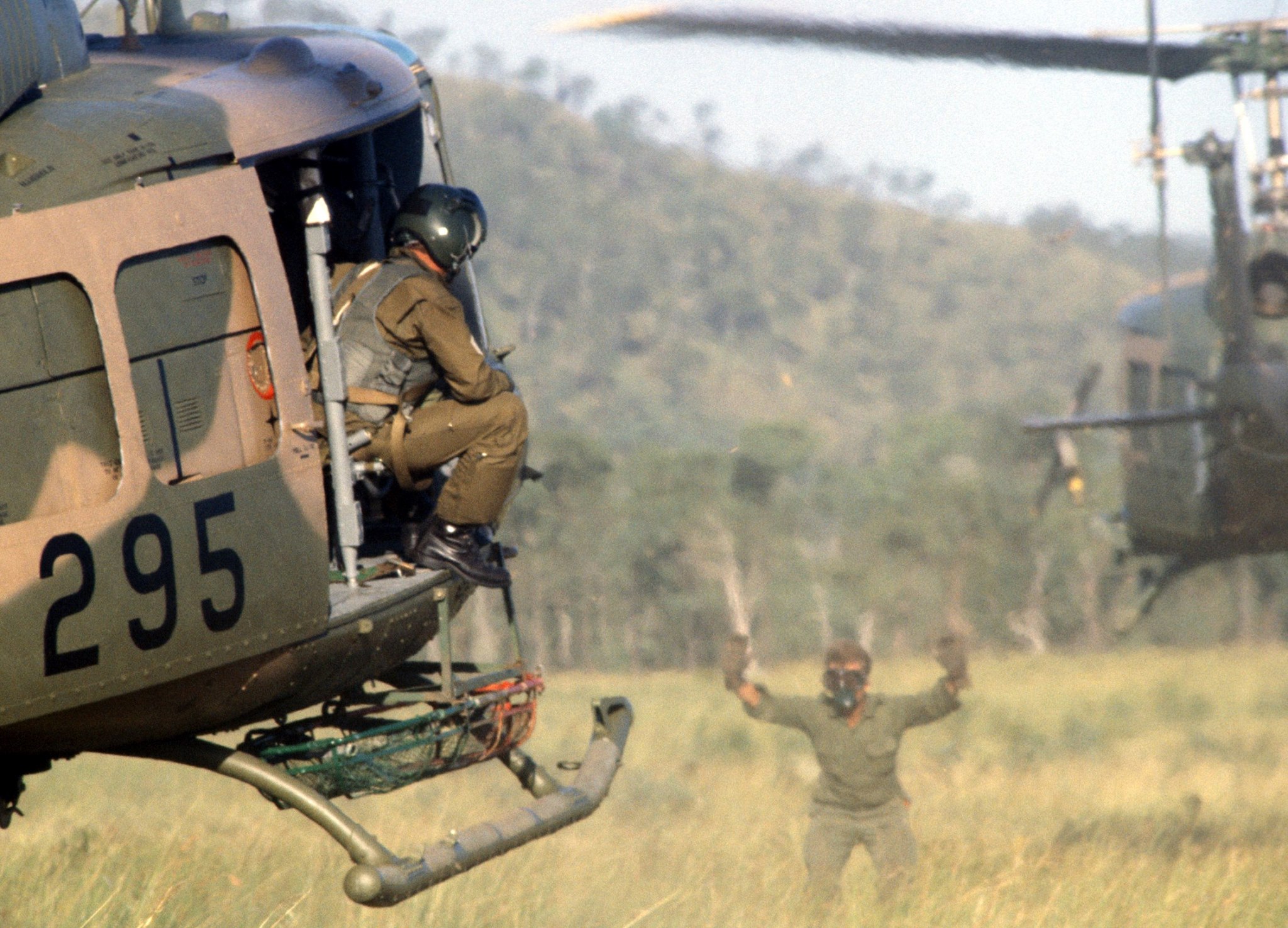 Highlight for Album:                                  Iroquios A2-295